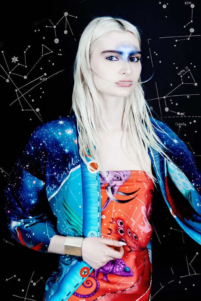 Constellation Silk Twill Scarf
